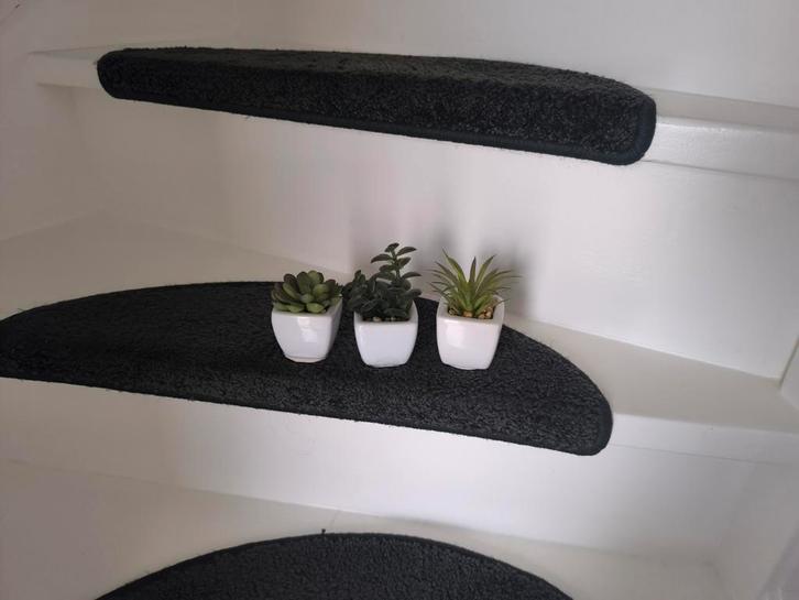 Decoratieve plantjes in potjes - Zo goed als nieuw!, Huis en Inrichting, Stoffering | Vloerbedekking, Zo goed als nieuw, Overige typen