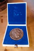 Penning van Van Doorne DAF, Ophalen of Verzenden, Brons, Nederland