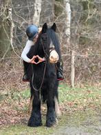 Tinker merrie beginners pony, Dieren en Toebehoren, Paarden, Merrie, Minder dan 160 cm, B, Gechipt