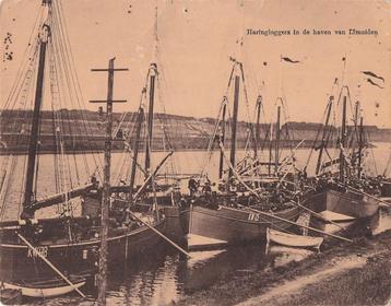AY404 IJMuiden visserij haven zeer grote kaart ca. 1905  beschikbaar voor biedingen