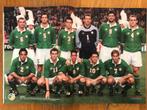 Mooie poster Ierland/FAI/The Boys in Green 2001 - VI, Ophalen of Verzenden, Zo goed als nieuw, Buitenlandse clubs, Poster, Plaatje of Sticker