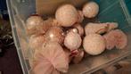 Kerstballen gnoompjes etc alles roze 2 guirlandes, Ophalen