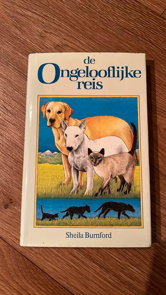 De ongelooflijke reis - Sheila Bunford, Boeken, Kinderboeken | Jeugd | 13 jaar en ouder, Gelezen, Fictie, Ophalen of Verzenden