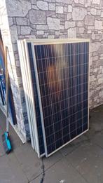 10 x ZNShine Solar zonnepanelen 250 Wp, Ophalen, Gebruikt