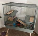 Neolux knaagdierkooi 100x54x92 cm xxl cavia konijn enz, Ophalen