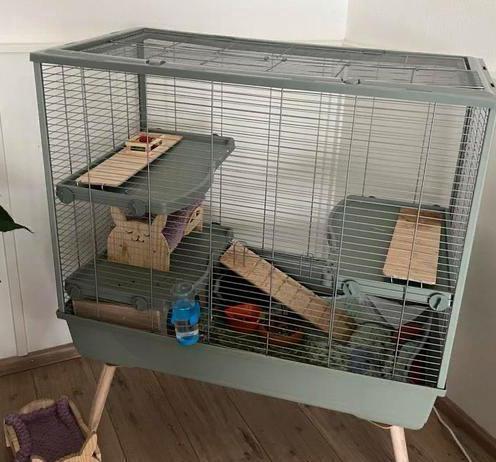 Neolux knaagdierkooi 100x54x92 cm xxl cavia konijn enz, Dieren en Toebehoren, Knaagdieren en Konijnen | Toebehoren, Ophalen
