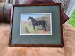 Prachtig schilderij paard met hond, Ophalen of Verzenden