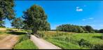 Paarden pension kleinschalig paardenstalling, Dieren en Toebehoren, Weidegang, 4 paarden of pony's of meer