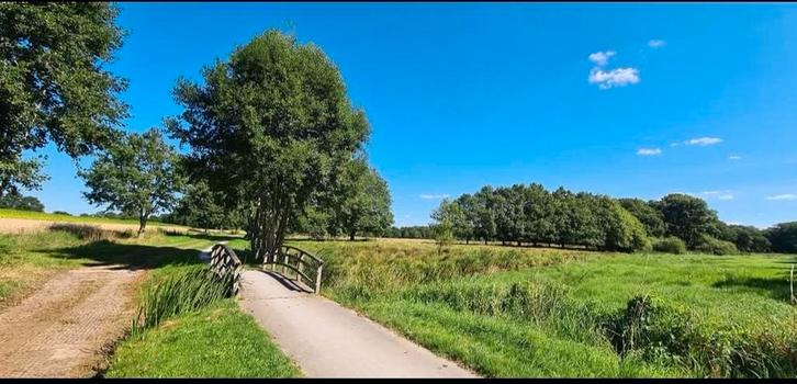 kleinschalig paarden stalling pension paddock paradise, Dieren en Toebehoren, Stalling en Weidegang, Opfok, Stalling, Weidegang