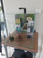 Dennerle Aquarium 60 liter, Dieren en Toebehoren, Ophalen, Gebruikt, Overige typen