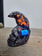 Skull / schedel met raaf van yooperliet, Antiek en Kunst, Ophalen of Verzenden
