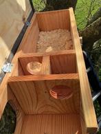 Steenuilenkast - Nieuw!, Tuin en Terras, Ophalen of Verzenden, Nieuw