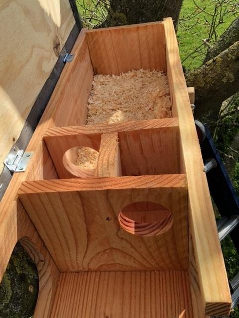 Steenuilenkast - Nieuw!, Tuin en Terras, Vogelhuisjes en Vogelbaden, Nieuw, Ophalen of Verzenden