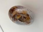 Gepolijste ei versteend hout, Verzamelen, Mineralen en Fossielen, Ophalen of Verzenden, Fossiel