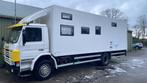 Vrachtwagen voor de motorsport, Auto's, Scania, Bedrijf, Diesel, Te koop