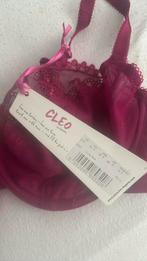 Cleo by Panache BH - Berry - Nieuw! Maat 70E, Panache, Ophalen of Verzenden, Roze, BH