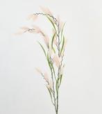 KATTENSTAART - KUNST, Ophalen of Verzenden, Nieuw