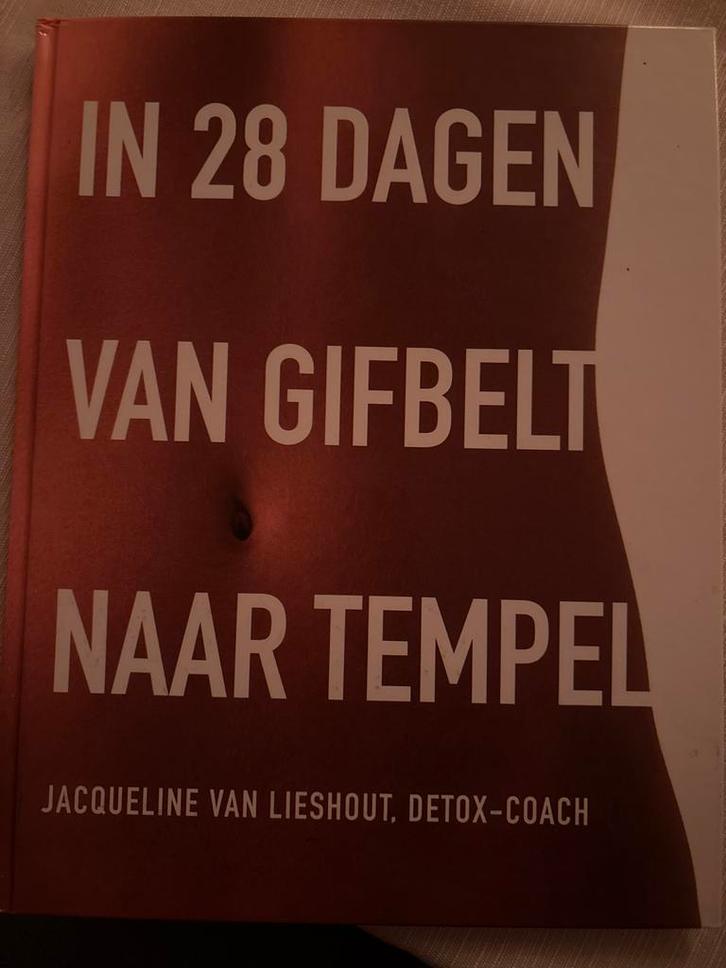 Detox in 28 dagen - Boek over ontgiften, Boeken, Gezondheid, Dieet en Voeding, Zo goed als nieuw, Dieet en Voeding, Ophalen of Verzenden