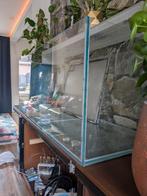 Aquarium 120x50x50, met toebehoren, Dieren en Toebehoren, Vissen | Aquaria en Toebehoren, Ophalen, Gebruikt, Leeg aquarium