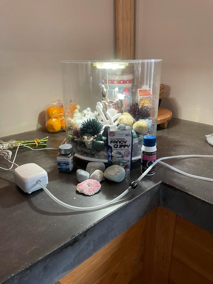 Biorb aquarium 15 liter tube inc decorstie, Dieren en Toebehoren, Vissen | Aquaria en Toebehoren, Nieuw, Leeg aquarium, Ophalen