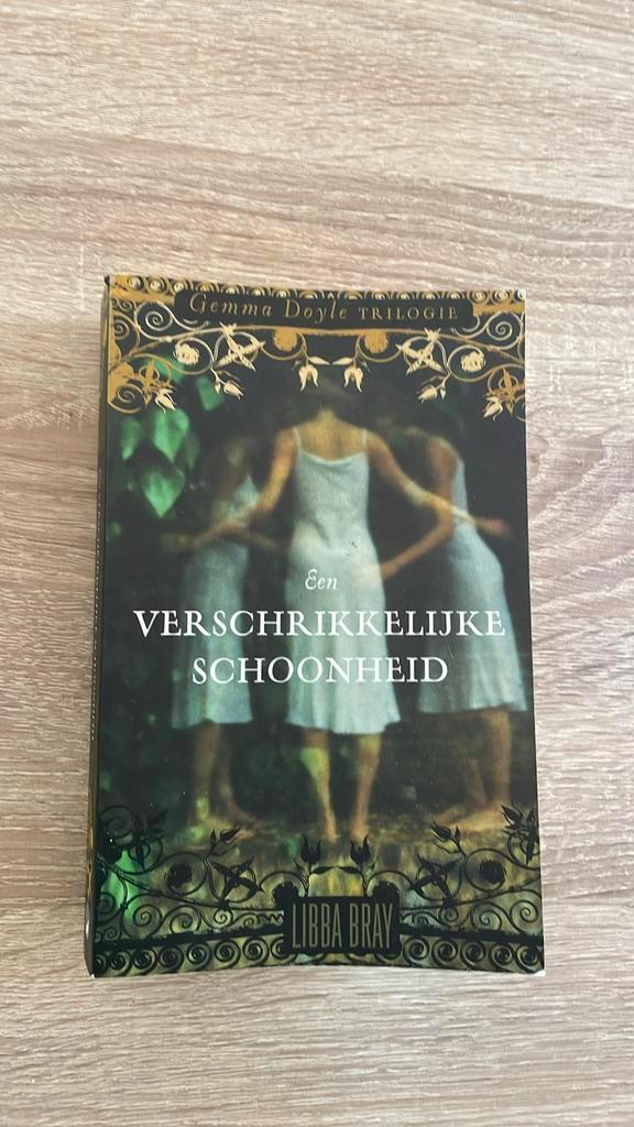 Libba Bray - Een verschrikkelijke schoonheid, Boeken, Kinderboeken | Jeugd | 13 jaar en ouder, Zo goed als nieuw, Ophalen