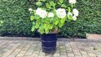 Bloempot, Tuin en Terras, Bloembakken en Plantenbakken, Ophalen, Steen, Minder dan 60 cm, Rond