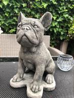 beton stenen hond franse bulldog bulletje bull, Dieren en Toebehoren, Honden-accessoires, Ophalen, Nieuw