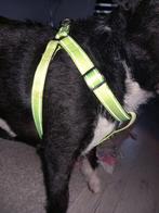 Harnas hond, Ophalen of Verzenden