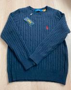 Polo Ralph Lauren trui donkerblauw (nieuw), Meisje, Trui of Vest, Nieuw, Ophalen of Verzenden