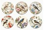 Onderzetters met vogeltjes afbeeldingen, Ophalen of Verzenden, Nieuw, Glas of Kopje
