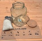 Mica Plant terrarium all in one, Ophalen of Verzenden, Nieuw