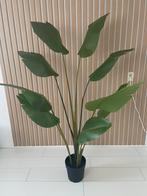 Ikea Kunstplant Strelitzia 180 cm ZGAN, Ophalen of Verzenden, Zo goed als nieuw