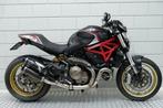 Ducati MONSTER 821 ABS 35 kw of vol TERMIGNONI S CARBON, Bedrijf, Overig