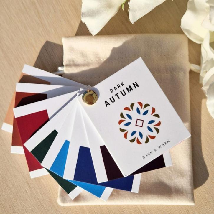 Dark Autumn Donker Herfsttype Kleurenwaaier, Kleding | Dames, Overige Dameskleding, Nieuw, Verzenden