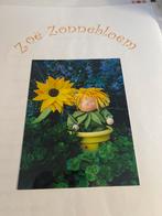 Zoe Zonnebloem, Hobby en Vrije tijd, Vilt, Ophalen of Verzenden, Boek of Patroon
