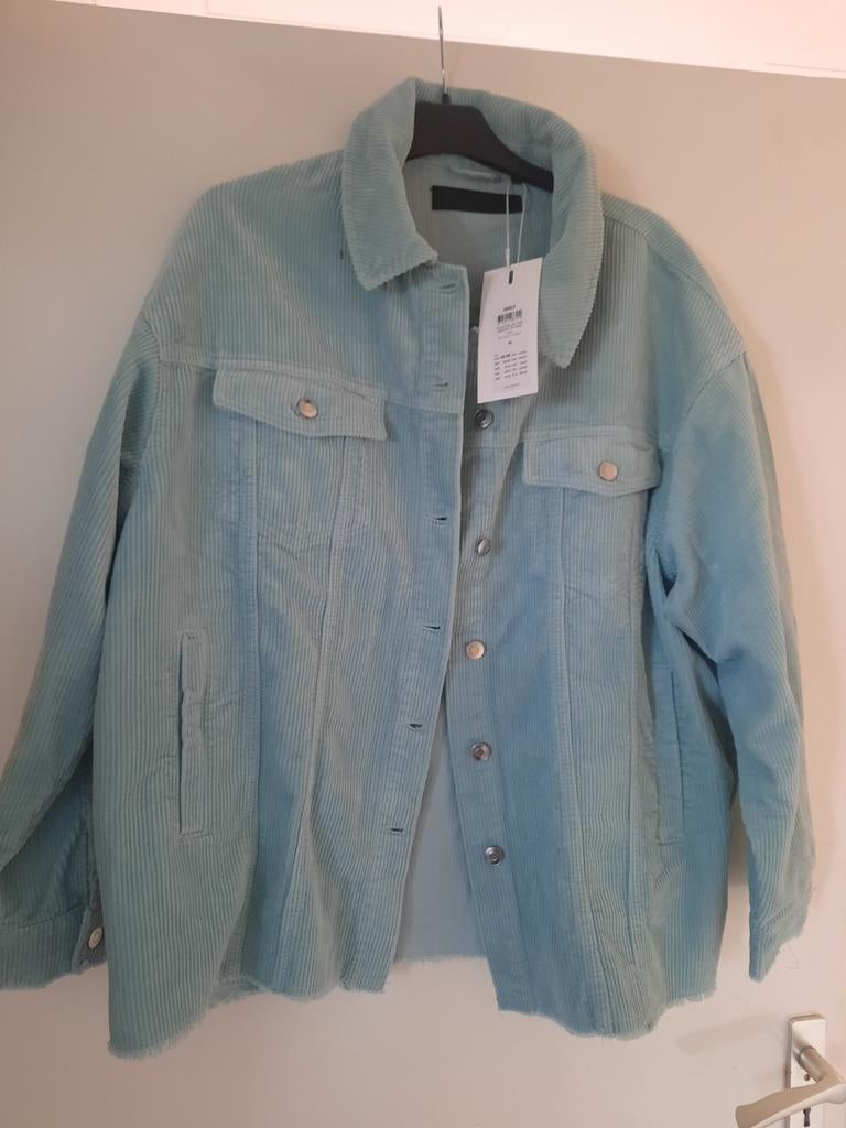 Lichtblauw Corduroy Jasje, Kleding | Dames, Maat 38/40 (M), Ophalen of Verzenden, Jasje, Groen