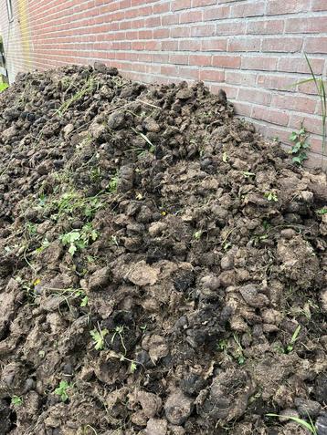 Gratis paardenmest/compost beschikbaar voor biedingen