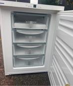 Vriezer liebherr tafelmodel 4 laden, Gebruikt, Energieklasse A of zuiniger, Ophalen, Vrieskast