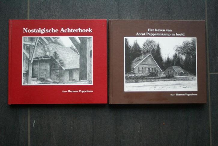 Nostalgische achterhoek / Het leaven van Oarnt Peppelenkamp, Boeken, Streekboeken en Streekromans, Zo goed als nieuw, Gelderland
