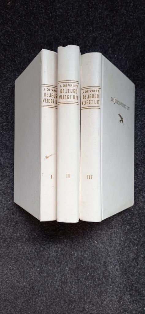 Trilogie " de jeugd vliegt uit ", Boeken, Historische romans, Zo goed als nieuw, Ophalen