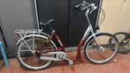 Nette Lin Bike met lage instap, Ophalen, Cruiser, Lintech, Aluminium