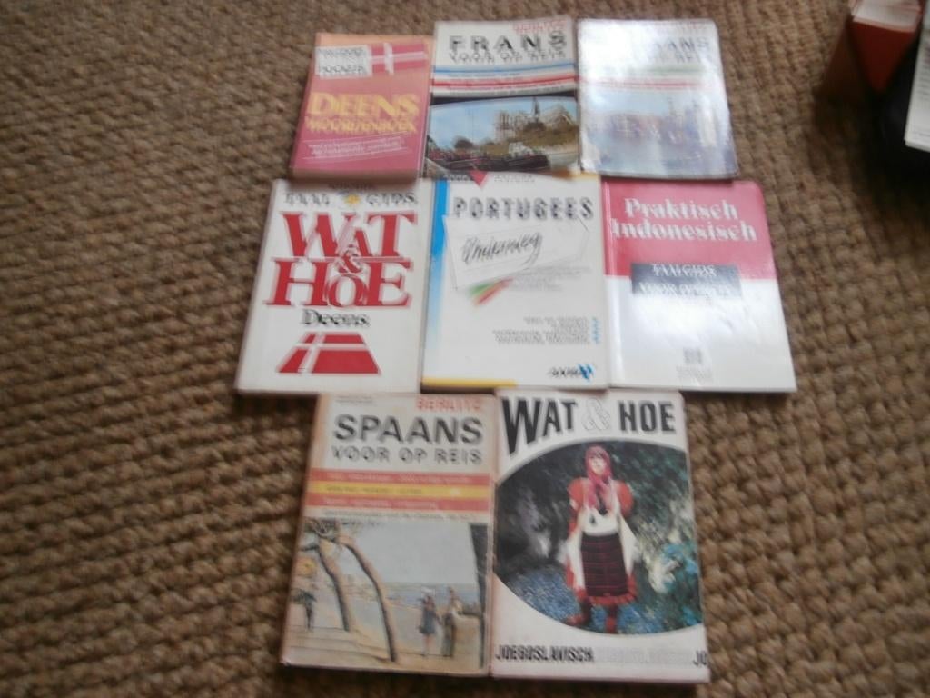 Wat en hoe deens spaans frans italiaans portugees indonesie, Boeken, Ophalen of Verzenden, Gelezen, Berlitz