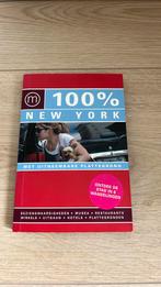 Pascal Theunissen - 100% New York, Ophalen of Verzenden, Zo goed als nieuw, Noord-Amerika, Budget
