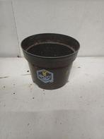 Kweekpotten 2 liter, Tuin en Terras, Bloempotten, Kunststof, Gebruikt, Info@krimpen.nl, Molenstraat 42
4758 AB Standdaarbuiten
Nederland