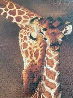 BBC Earth Giraffe Puzzel - 1000 Stukjes - Nieuw, Hobby en Vrije tijd, Denksport en Puzzels, Ophalen of Verzenden, Nieuw, Legpuzzel