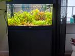 Aqualantis aquarium Volga 125, Dieren en Toebehoren, Vissen | Aquaria en Toebehoren, Ophalen, Zo goed als nieuw, Gevuld zoetwateraquarium