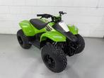 Kawasaki KFX 50 zeer zeldzaam SUZUKI LTA 50