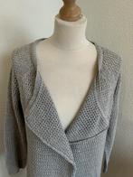 Taifun maat L lang gehaakt vest 2007, Kleding | Dames, Truien en Vesten, Maat 38/40 (M), Taifun, Ophalen of Verzenden, Zo goed als nieuw