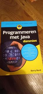 Programmeren met Java voor Dummies, Boeken, Informatica en Computer, Barry Burd, Programmeertaal of Theorie, Ophalen of Verzenden