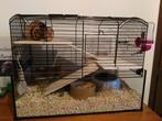 Hamster Kooi (Zolux Neo Panas), Kooi, Minder dan 75 cm, Minder dan 60 cm, Gebruikt